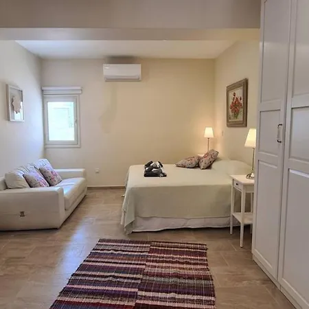 Villa Neo Chorio Town House *